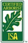 ISA CA Logo